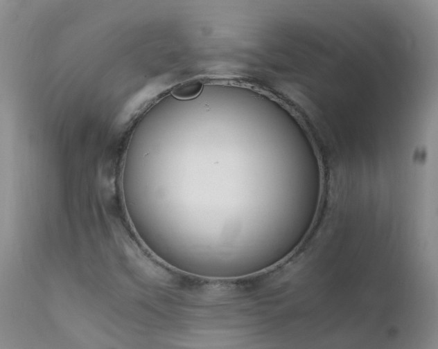 X0000112211451200908141446