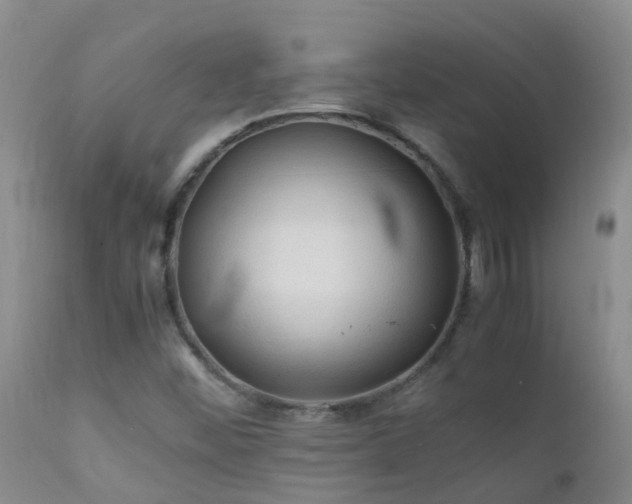 X0000112211452200908141446