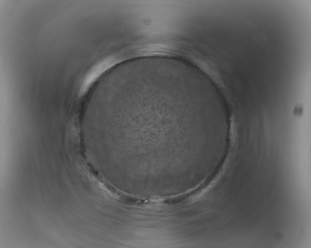 X0000112211453200908141446