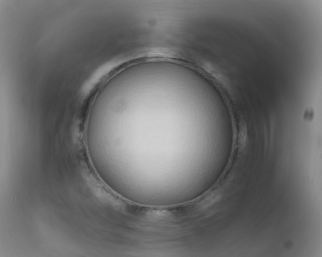 X0000112211454200908141446