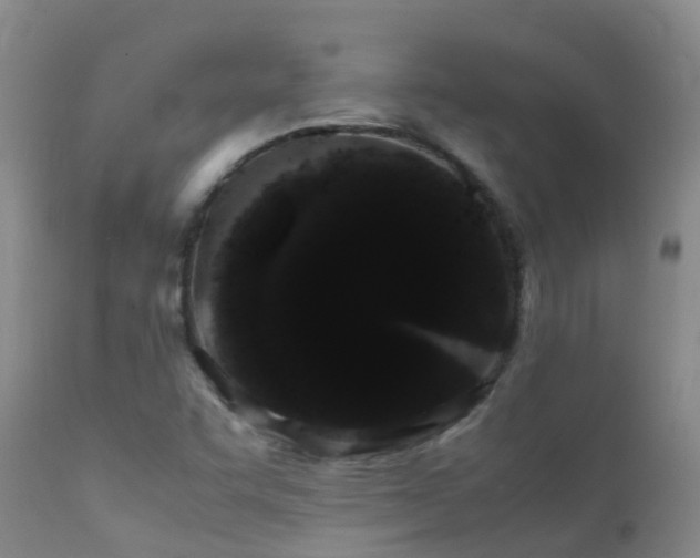 X0000112211455200908141446