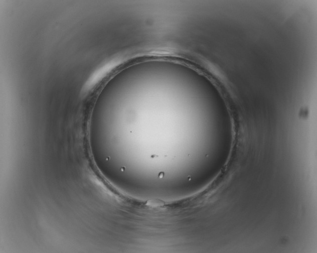 X0000112211456200908141446