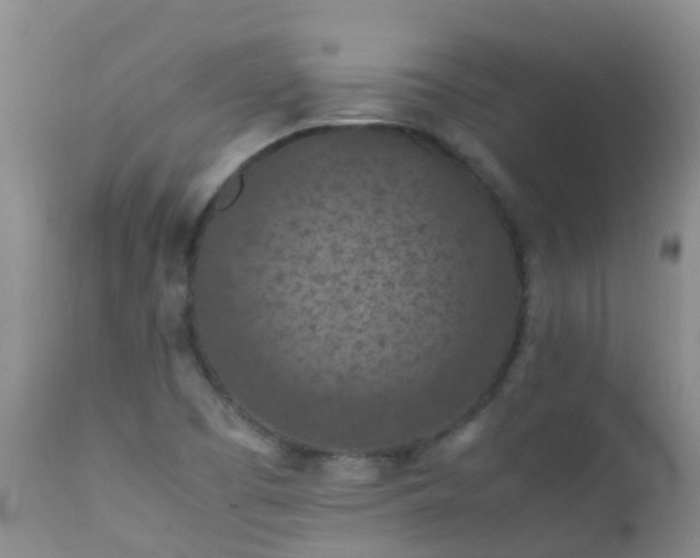 X0000112211457200908141446