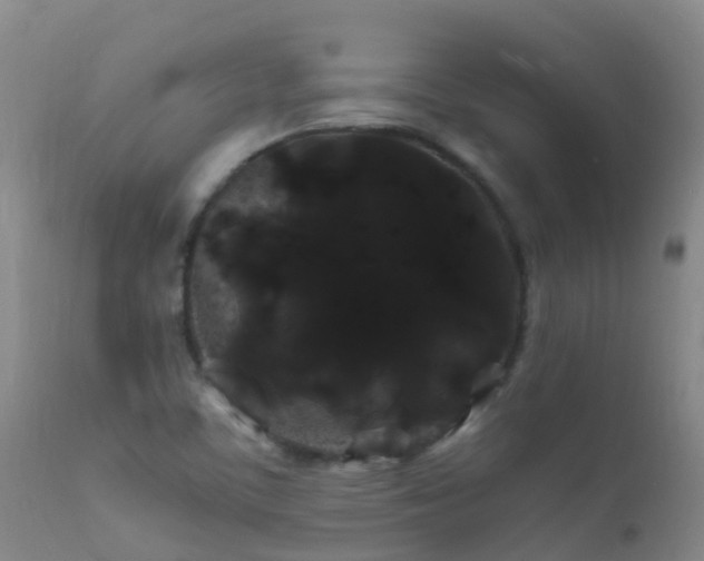 X0000112211459200908141446