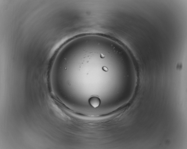 X0000112211460200908141446