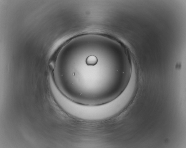 X0000112211461200908141446