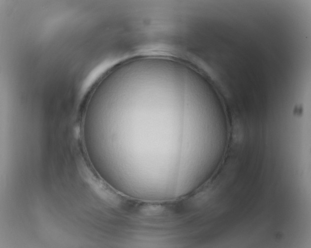 X0000112211462200908141446