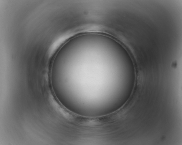 X0000112211464200908141446