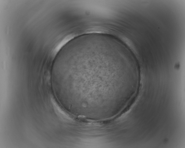 X0000112211465200908141446