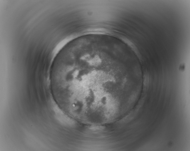 X0000112211466200908141446