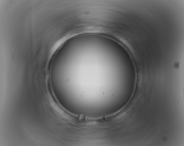 X0000112211467200908141446