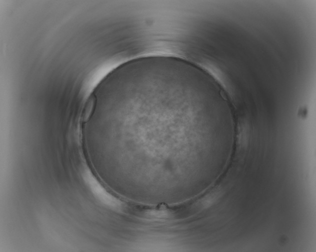 X0000112211468200908141446