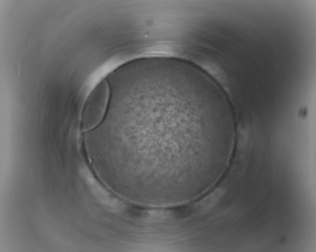 X0000112211469200908141446