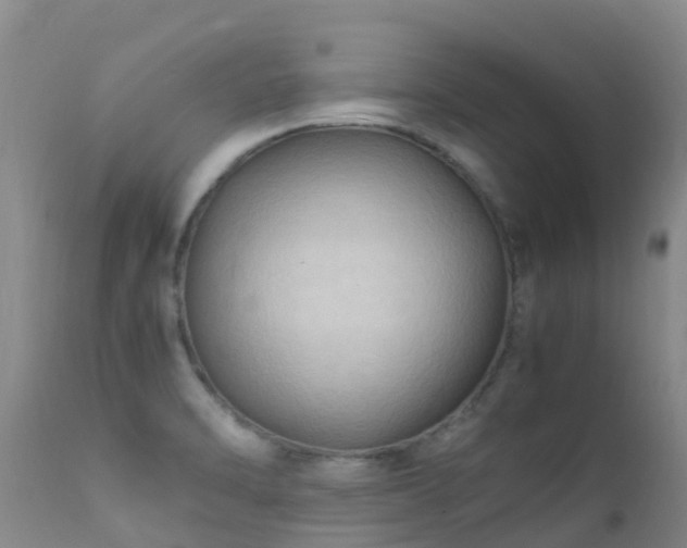 X0000112211470200908141446