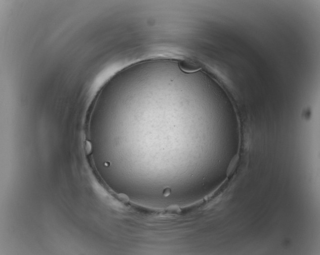 X0000112211471200908141446