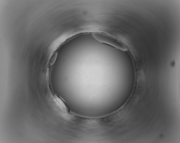 X0000112211472200908141446