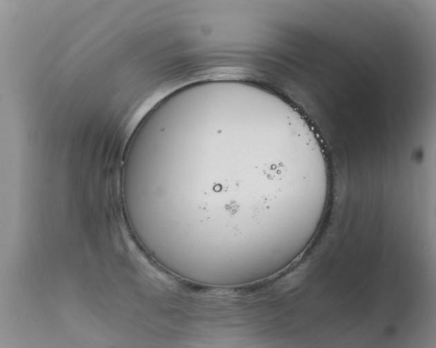 X0000112211473200908141446