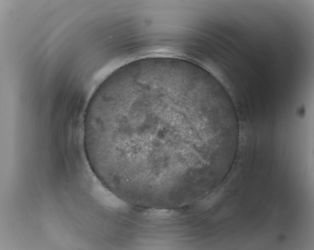 X0000112211474200908141446