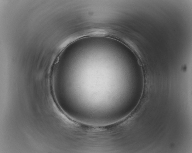 X0000112211475200908141446