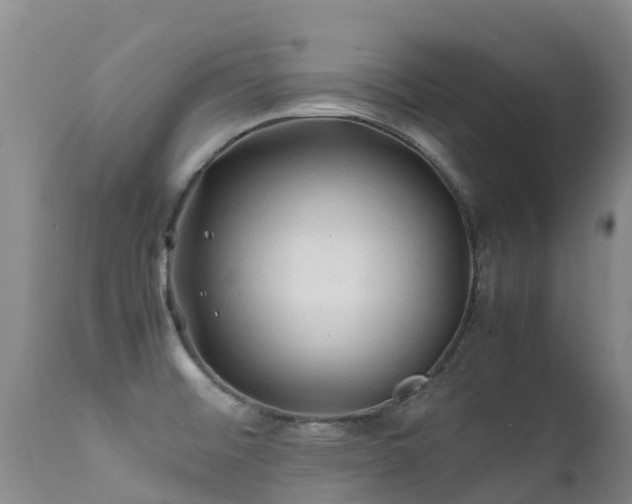 X0000112211476200908141446