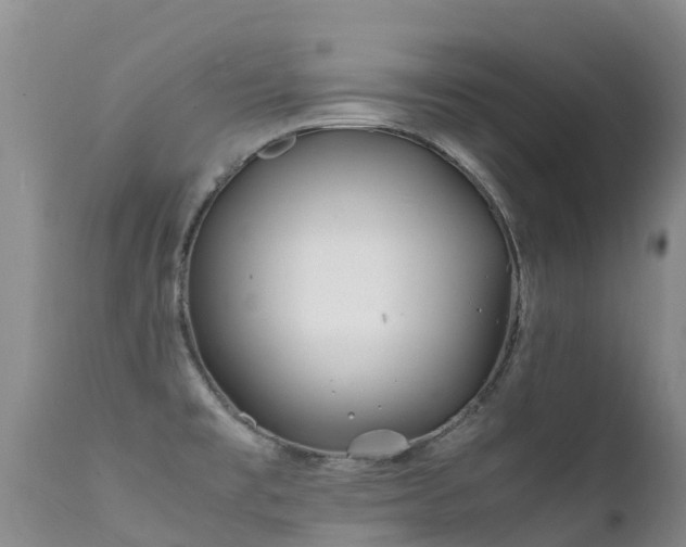 X0000112211477200908141446