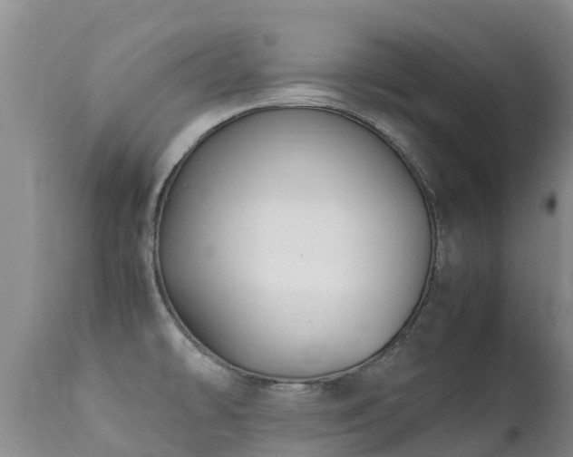 X0000112211478200908141446