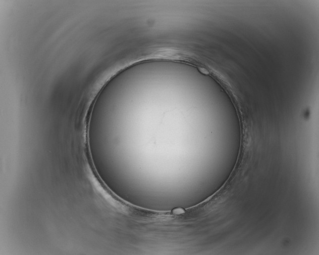 X0000112211479200908141446