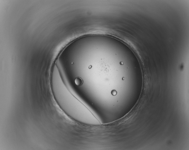 X0000112211480200908141446