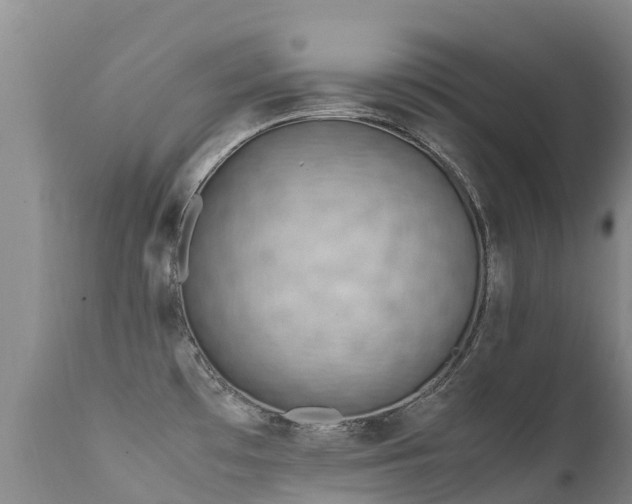 X0000112211481200908141446