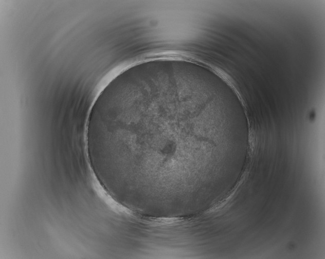 X0000112211482200908141446