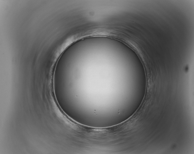 X0000112211483200908141446