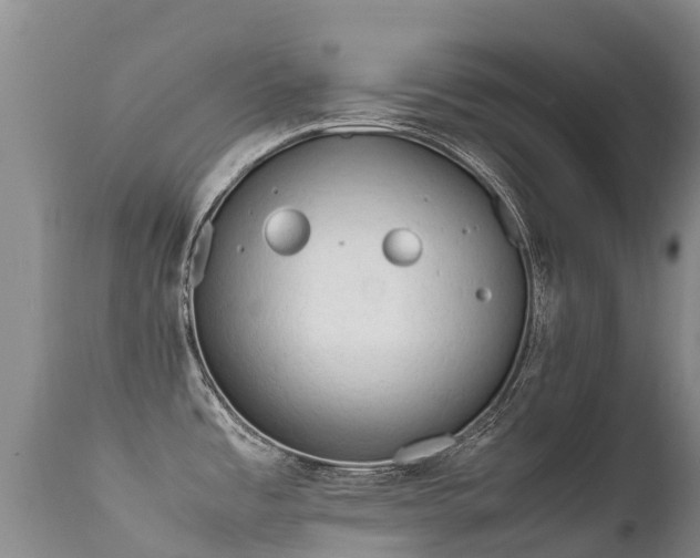 X0000112211485200908141446