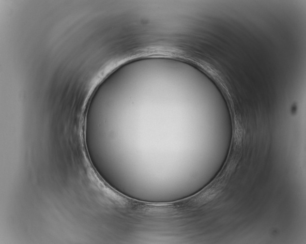 X0000112211486200908141446