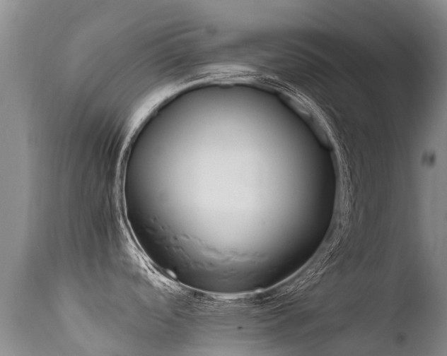 X0000112211488200908141446