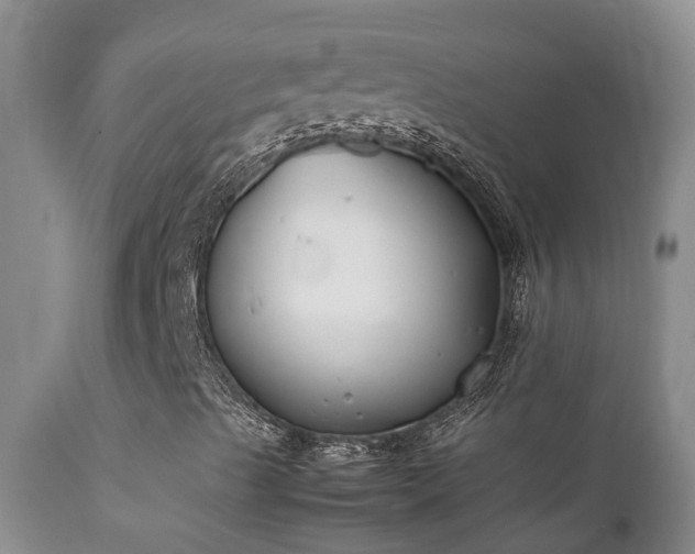 X0000112211489200908141445