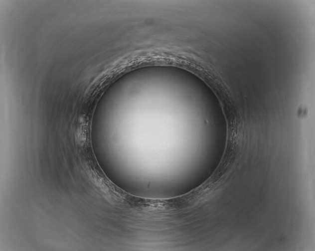 X0000112211490200908141445