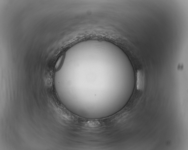 X0000112211491200908141445