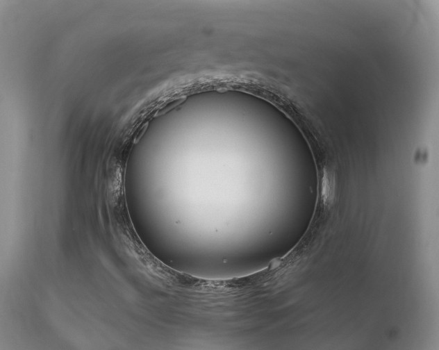 X0000112211492200908141445