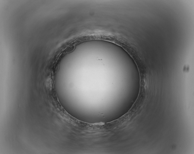 X0000112211493200908141445