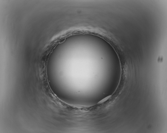 X0000112211494200908141445