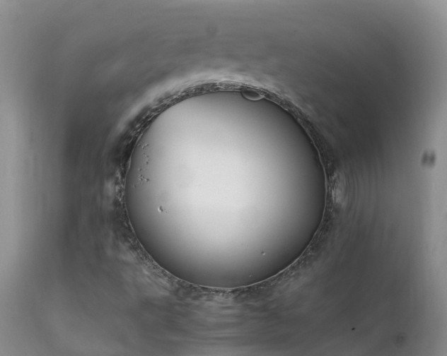 X0000112211495200908141445