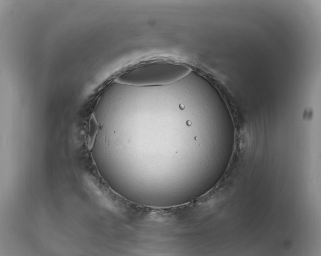 X0000112211496200908141445