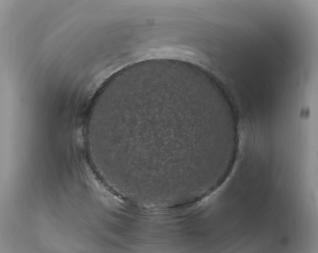 X0000112211497200908141445