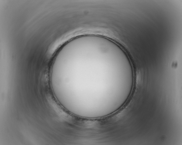 X0000112211498200908141445