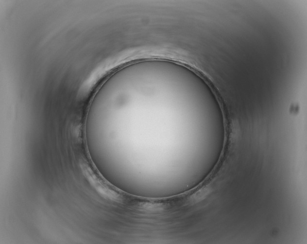 X0000112211499200908141445