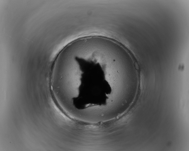 X0000112211500200908141445