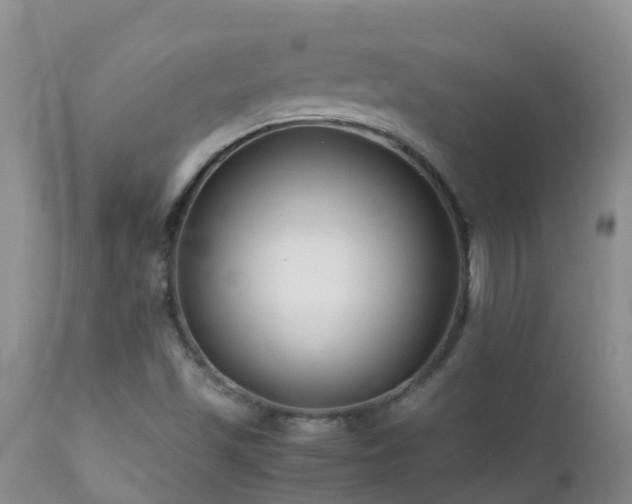 X0000112211501200908141445