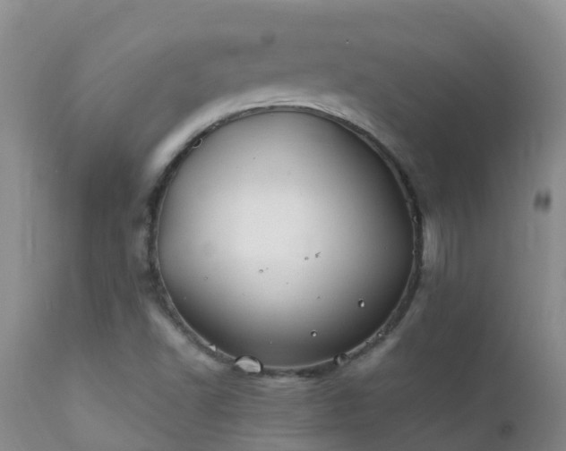 X0000112211502200908141445