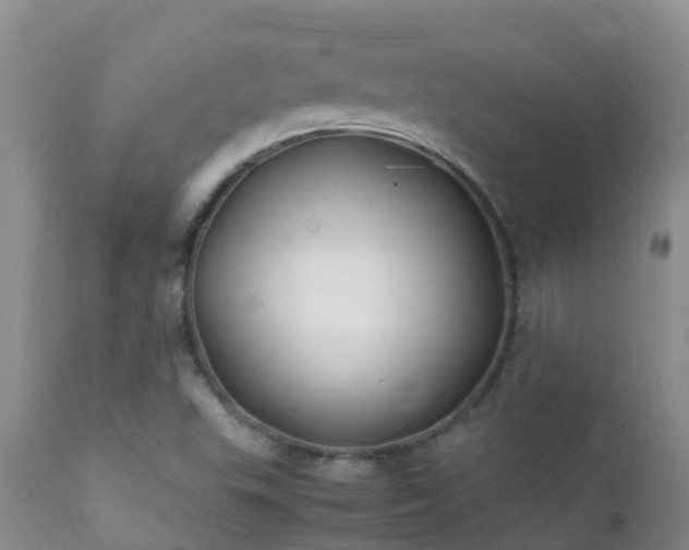 X0000112211503200908141445