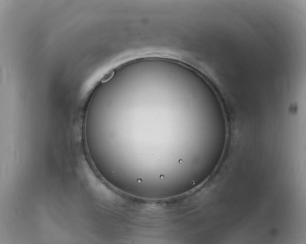 X0000112211504200908141445